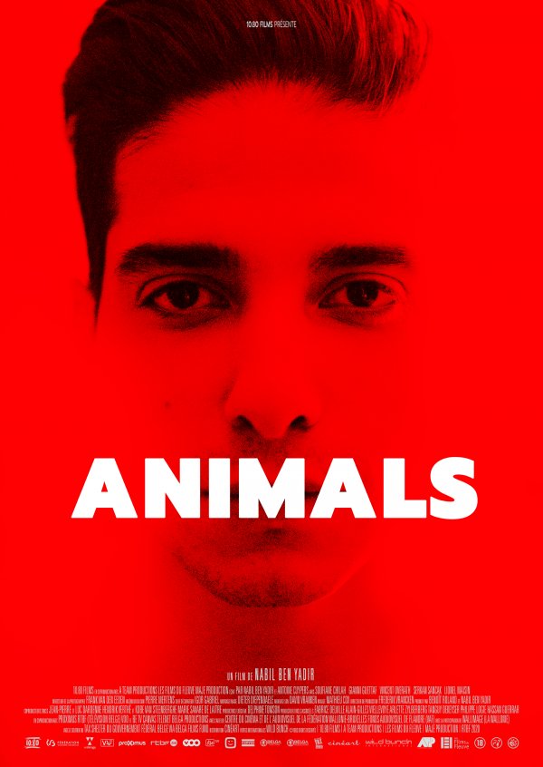 Animals | Cinema ZED