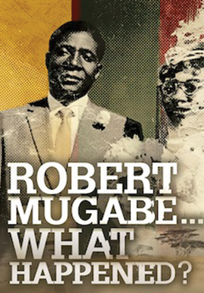 Robert Mugabe, what happened?