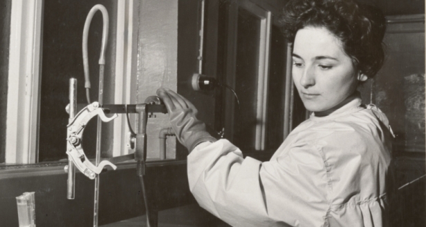 Katholieke universiteit te Leuven