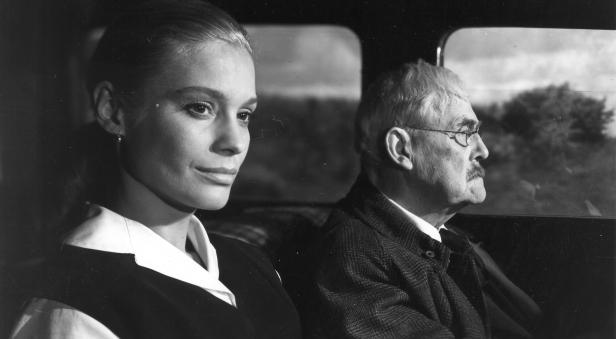 Wild Strawberries