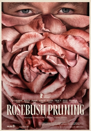 Rosebush Pruning