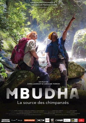 Mbudha, la source des chimpanzés